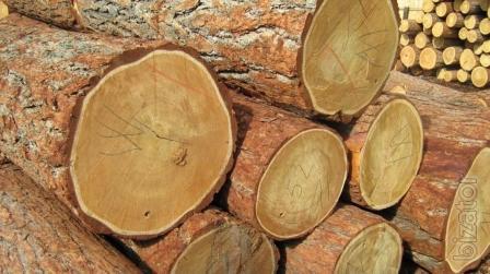 Delivery of wood products from Russia 