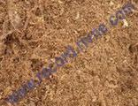 peat 