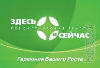 Консалтинговые услуги Консалтинговые услуги