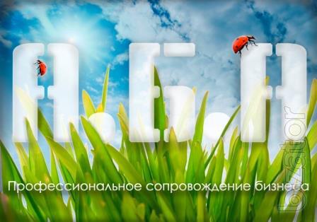 Бухгалтерское сопровождение Бухгалтерское сопровождение