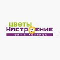 Магазин цветов «Настроение» Магазин цветов «Настроение»