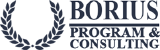 Borius Program&Consulting Borius Program&Consulting