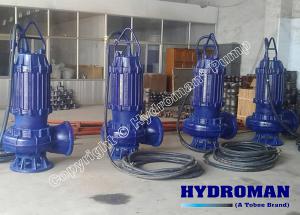  Hydroman™ 300TJQ Heavy Duty Submersible Slurry Pump