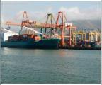  Cheap sea freight from China + quick deliveryto Ukraine